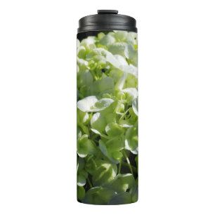 Termo Flores de Hydrangeas Verdes