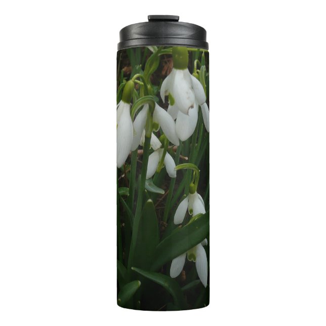 Termo Flores de Primavera Blanca (Galanthus) (Anverso)