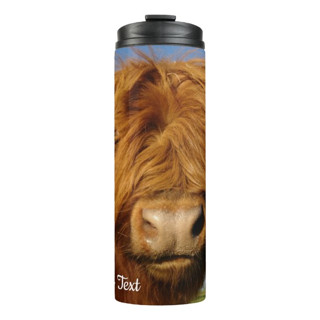 Termo Fluffy Scottish Highland Cow - Blue Sky (Anverso)