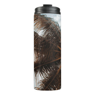 Termo Foto de ángulo bajo del árbol de coco