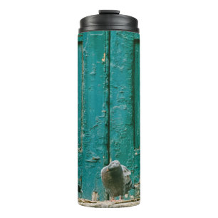 TERMO FOTO DE CERRADO DE DOS PIGEONS GRÁFICOS EN CONCRET