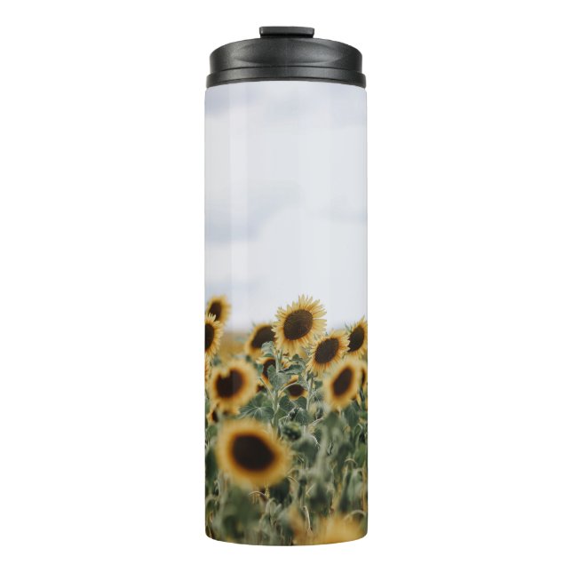 TERMO FOTO DE CERRADOR DE SUNFLOWERS (Anverso)