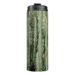 Termo Foto de cierre de la planta de cactus verde