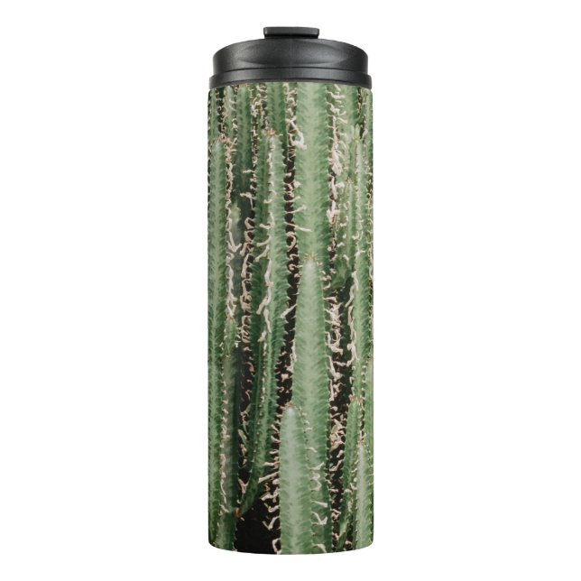Termo Foto de cierre de la planta de cactus verde (Anverso)