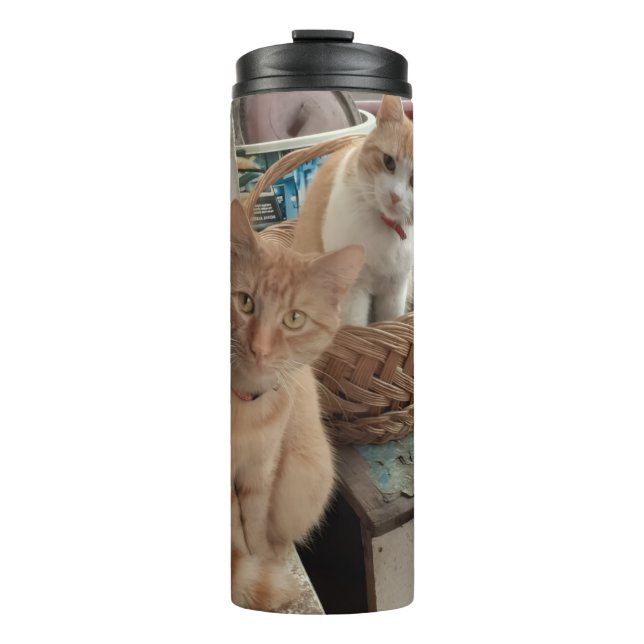 Termo Foto de gato ginger (Anverso)