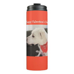 Termo Foto de perfil de perro lindo usando Naranja de bu