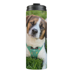 Termo Foto de Perro Agrega Tu Foto
