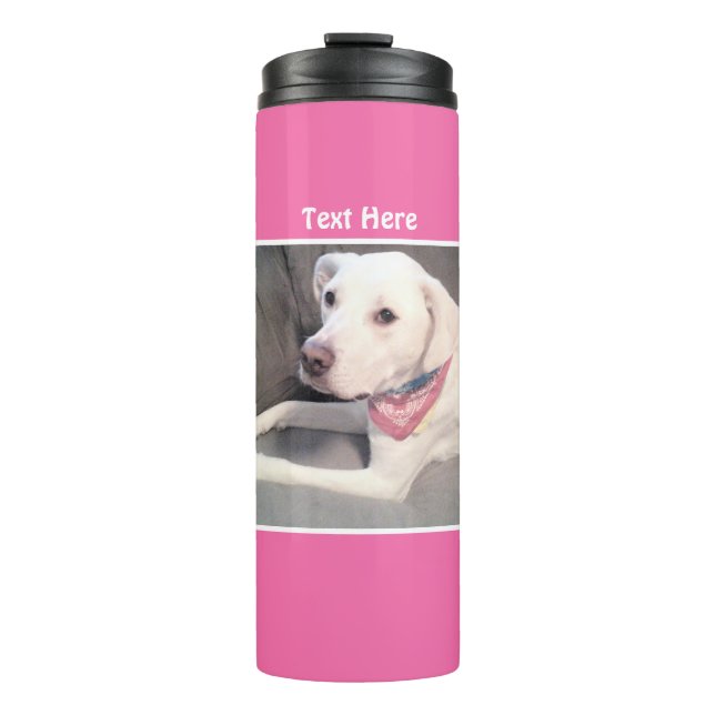 Termo Foto de termal rosa de perro de mezcla blanca de l (Anverso)