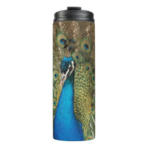 Termo Foto de un hermoso pavo real con plumas extendidas
