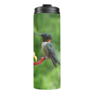 Termo Fotografía de aves de colibrí de garganta rubí