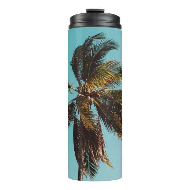 Termo Fotografía de bajo ángulo del árbol de coco (Anverso)