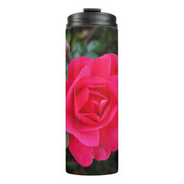 Termo Fotografía de flor rosa rosa rosa rosa bonito