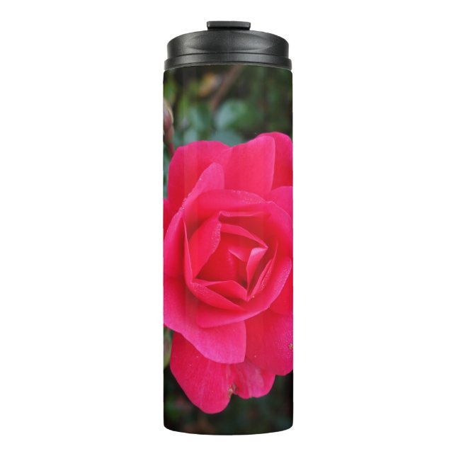 Termo Fotografía de flor rosa rosa rosa rosa bonito (Anverso)