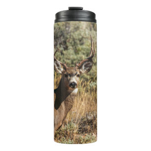 TERMO FOTOGRAFÍA DE WILDLIFE DE BROWN BUCK