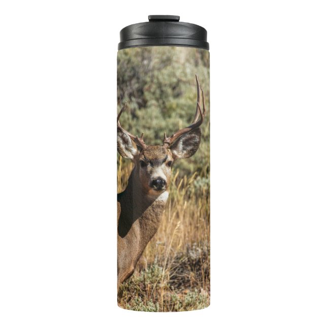 TERMO FOTOGRAFÍA DE WILDLIFE DE BROWN BUCK (Anverso)