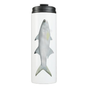 Termo Fourfinger Threadfin