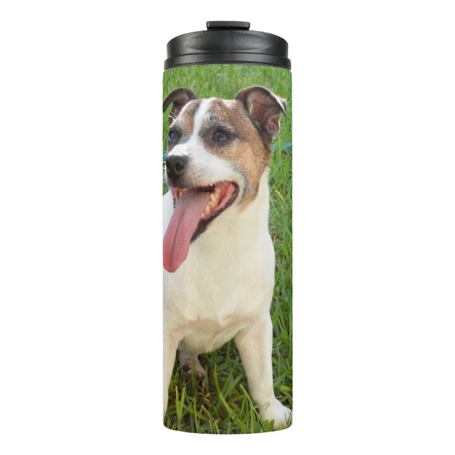 Termo Fox Terrier, Lengua en Mejilla,   (Anverso)