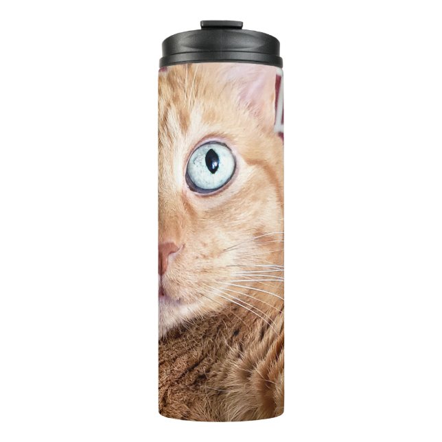 Termo Frankie (Anverso)