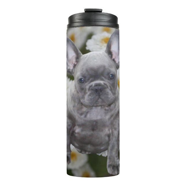 Termo Französische Bulldogge  (Anverso)