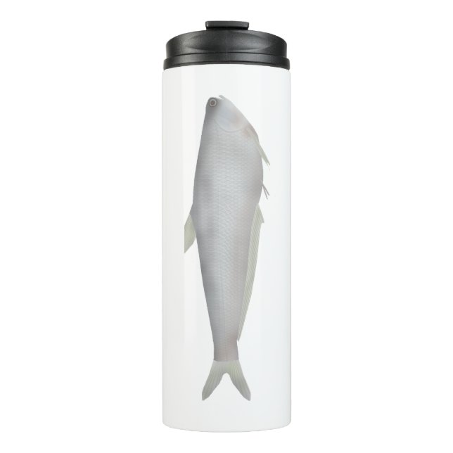 Termo Gangetic Hairfin Anchovy  (Anverso)