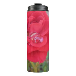 Termo Garrafa Térmica Portátil