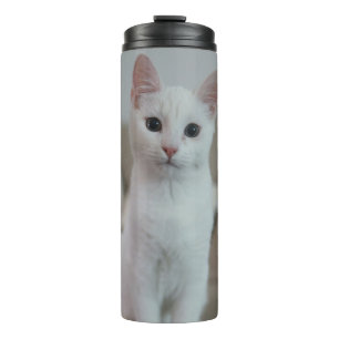 Termo Gato blanco   Zazzle_Growshop.