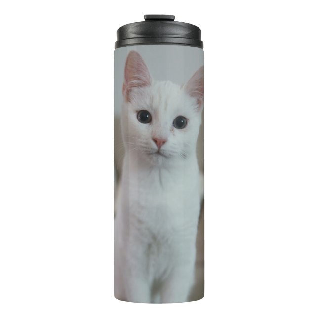 Termo Gato blanco | Zazzle_Growshop. (Anverso)