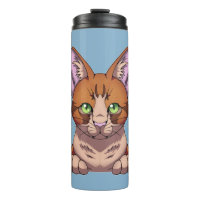 Gato de corte