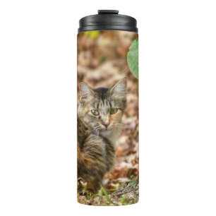 Termo Gato de otoño