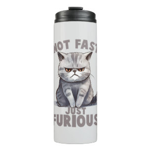 Termo Gato gracioso - No rápido, sólo curioso