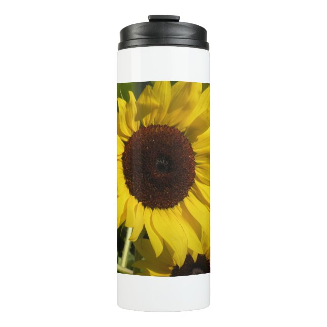Termo Girasol (Anverso)