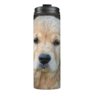 Termo Golden Retriever Puppy