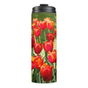 Termo Gran campo de tulipanes rojos   