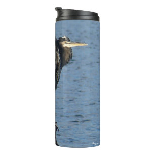 Termo Gran garza azul en el Tumbler termal de la médula