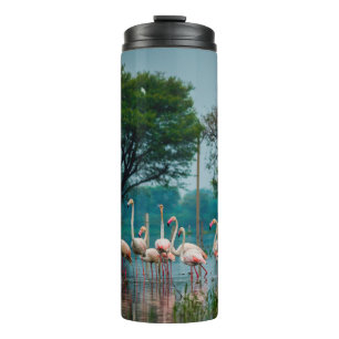 Termo Gran población de flamingos en el hábitat natural.