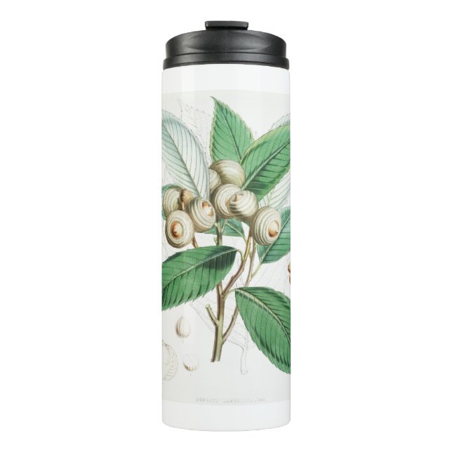 Termo Green Bull Oak (Anverso)