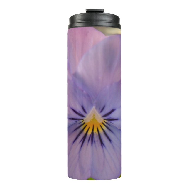 Termo Haetzlern (Anverso)