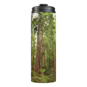Termo Hasta Redwoods I en el Monumento Nacional Muir Woo