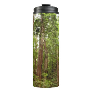 Termo Hasta Redwoods I en el Monumento Nacional Muir Woo