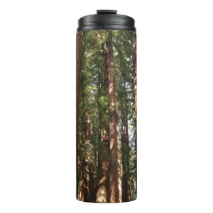 Termo Hasta Redwoods II en el Monumento Nacional Muir Wo
