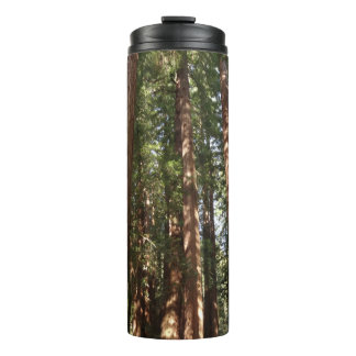 Termo Hasta Redwoods II en el Monumento Nacional Muir Wo