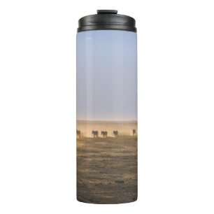 TERMO HERD DE ZEBRA EN EL CAMPO DE LA ARENA