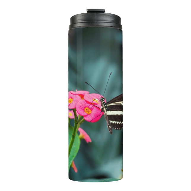 Termo Hermosa mariposa (Anverso)