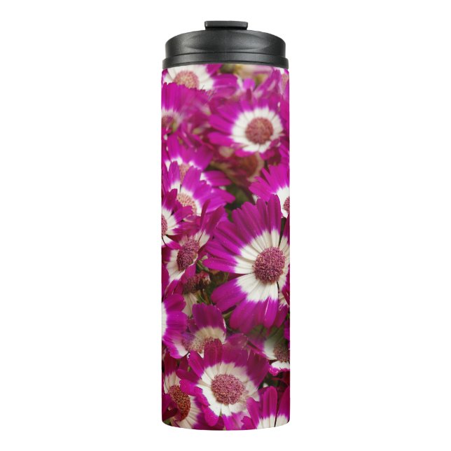 Termo Hermosas flores moradas de Cineraria (Anverso)