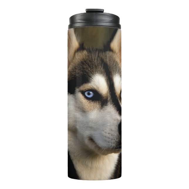 Termo Hermoso Cojín decorativo Husky (Anverso)