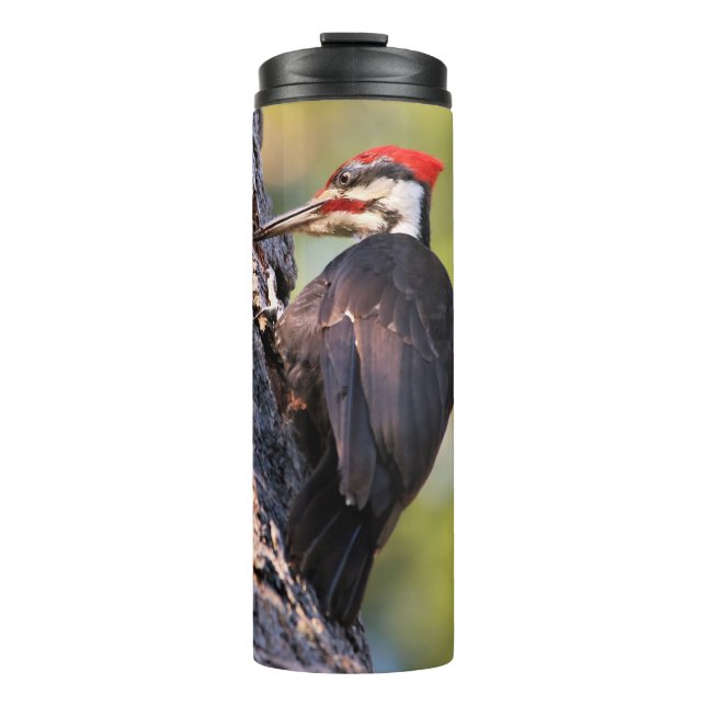Termo Hermoso pájaro carpintero apilado en el árbol (Anverso)