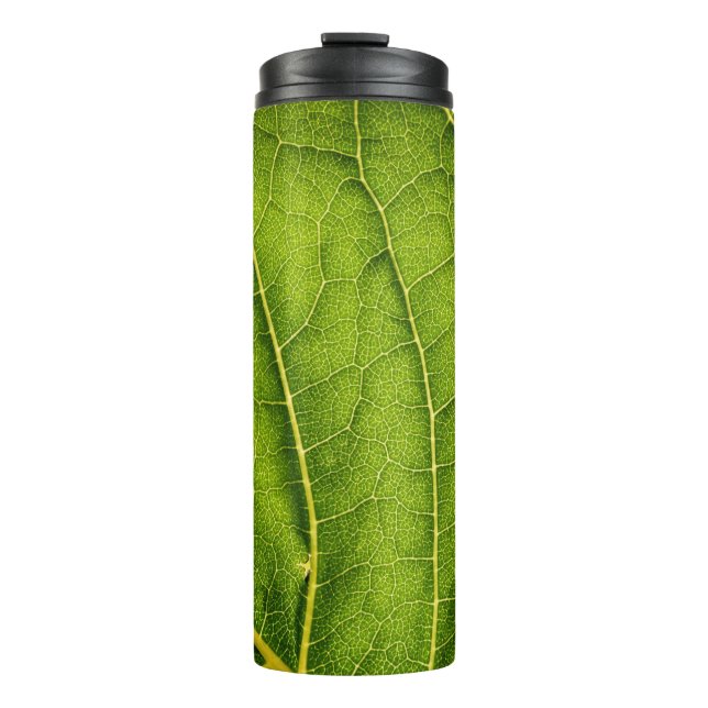 Termo Hoja verde (Anverso)