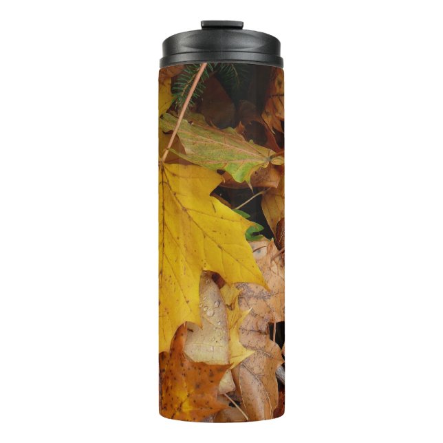Termo Hojas de Arce Caídas Amarillas Otoño Naturaleza (Anverso)
