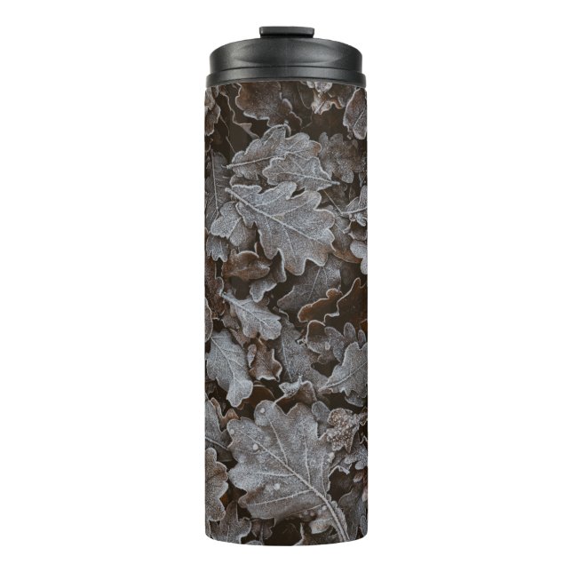 Termo Hojas de color (Anverso)