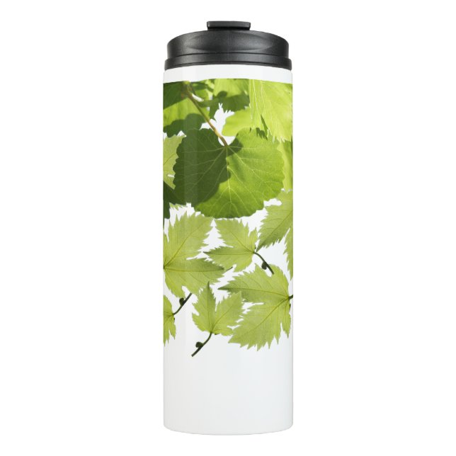Termo Hojas de vid de uva verde (Anverso)